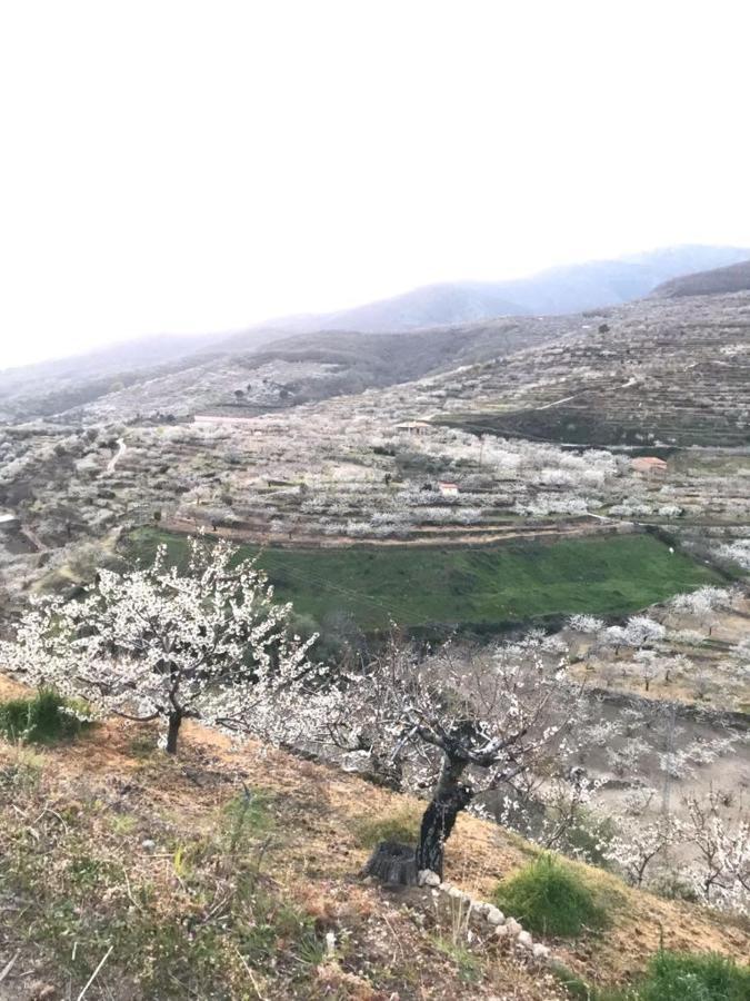הוילה טורנבקאס La Escondida מראה חיצוני תמונה